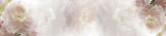 Стеновая панель Albico глянец SP-045