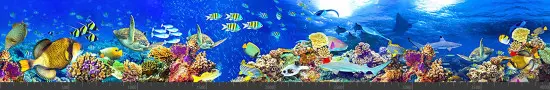 Стеновая панель фотопечать (животный мир) 145151