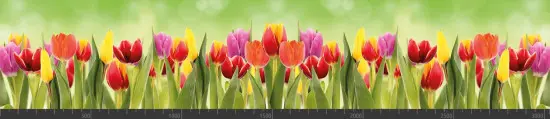 Стеновая панель фотопечать (цветы и растения) 104005