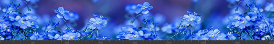 Стеновая панель фотопечать (цветы и растения) 144210