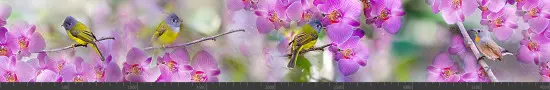 Стеновая панель фотопечать (животный мир) 145159