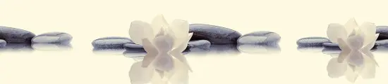 Стеновая панель Albico глянец SP-255