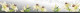 Стеновая панель фотопечать (цветы и растения) 144214