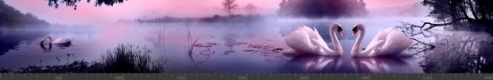 Стеновая панель фотопечать (животный мир) 145064