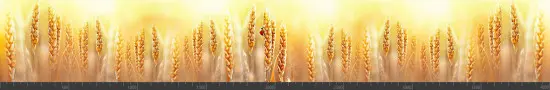 Стеновая панель фотопечать (животный мир) 145166