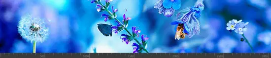 Стеновая панель фотопечать (животный мир) 105032