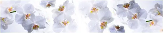 Серия Композит Глянцевые фартуки 3000*610*3мм КМ-15