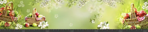 Стеновая панель фотопечать (кухонная тематика) 101193