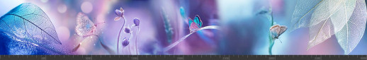 Стеновая панель фотопечать (животный мир) 145173