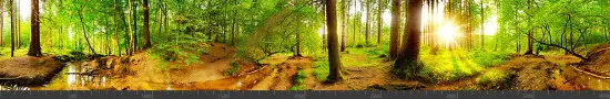 Стеновая панель фотопечать (панорамы природы) 143315