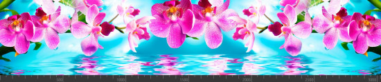 Стеновая панель фотопечать (цветы и растения) 104127