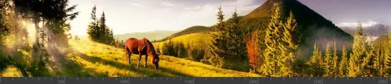 Стеновая панель фотопечать (животный мир) 105039
