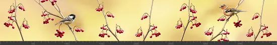 Стеновая панель фотопечать (животный мир) 145177