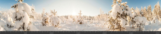 Стеновая панель фотопечать (панорамы природы) 103088