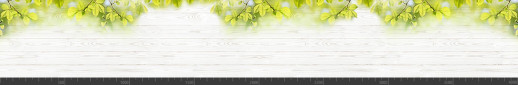 Стеновая панель фотопечать (цветы и растения) 144634