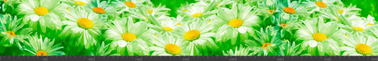 Стеновая панель фотопечать (цветы и растения) 144435
