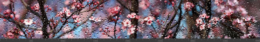 Стеновая панель фотопечать (цветы и растения) 144835