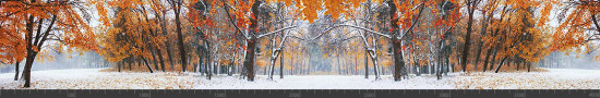 Стеновая панель фотопечать (панорамы природы) 143126