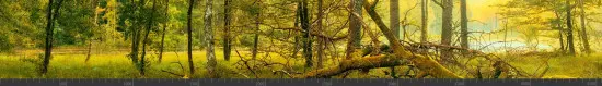 Стеновая панель фотопечать (панорамы природы) 143326