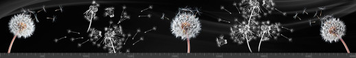 Стеновая панель фотопечать (цветы и растения) 144238