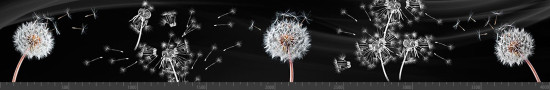 Стеновая панель фотопечать (цветы и растения) 144238