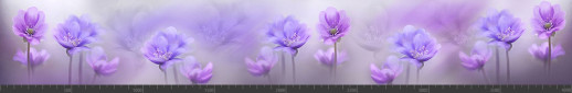 Стеновая панель фотопечать (цветы и растения) 144738