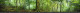 Стеновая панель фотопечать (панорамы природы) 143130