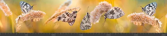 Стеновая панель фотопечать (животный мир) 105054